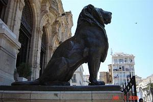 06 2006 ORAN LES LIONS DE LA MAIRIE